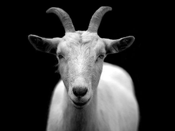 Getting Started with WebGoat